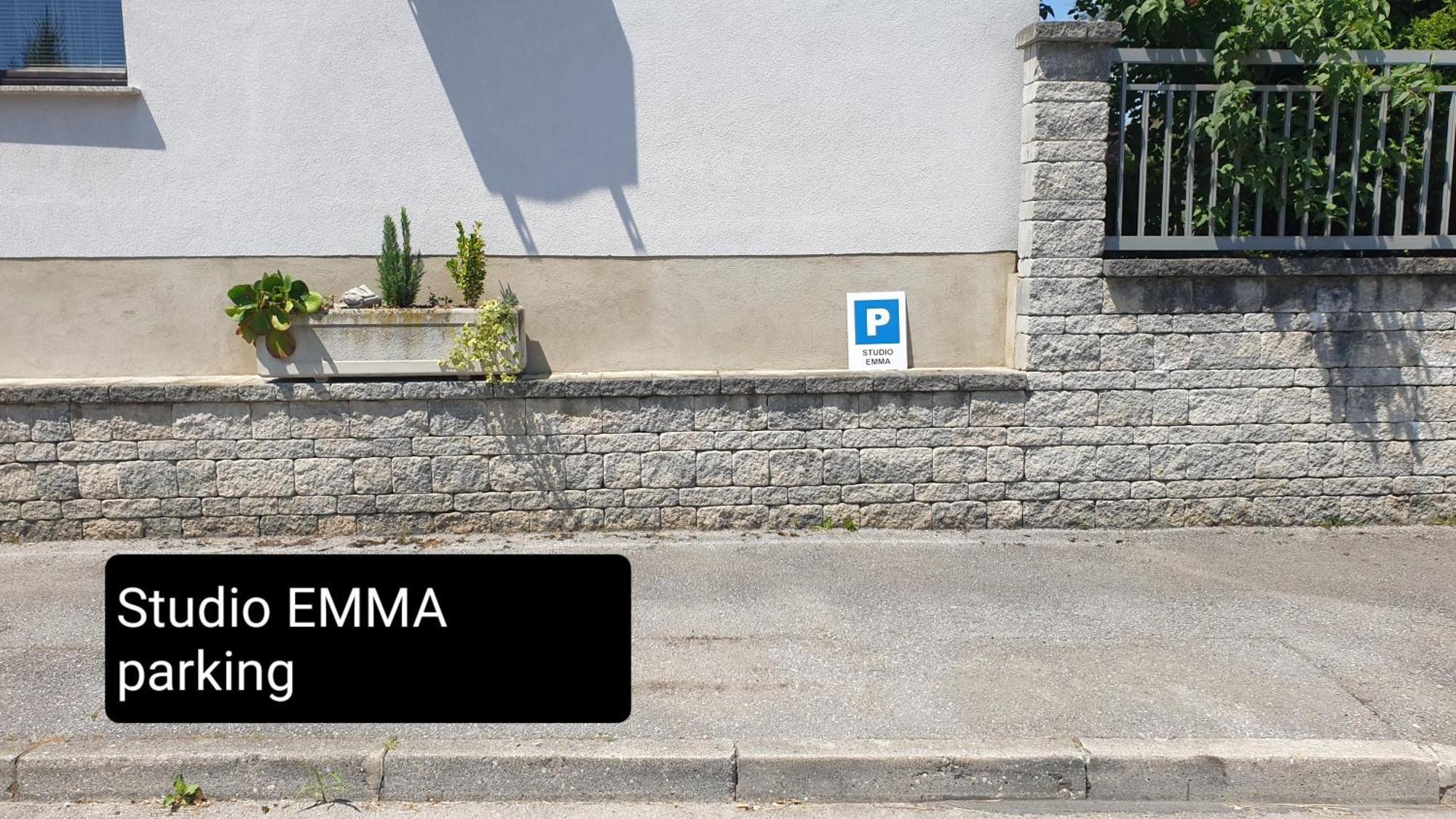 Studio Emma Ljubljana - Free Parking, Ac, Wifi Buitenkant foto